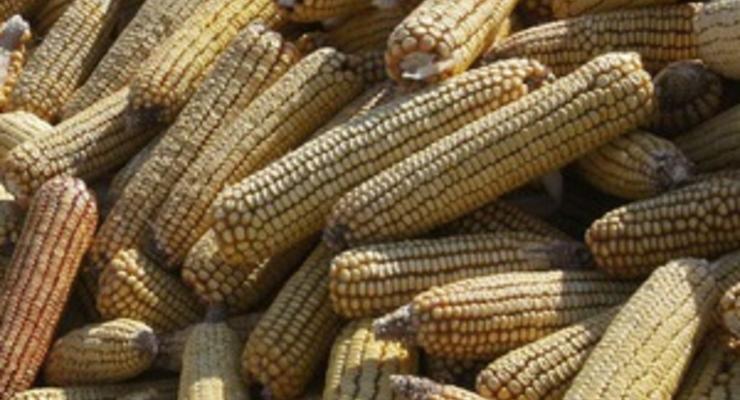 Сегодня вступило в силу постановление Кабмина об отмене квотирования экспорта кукурузы