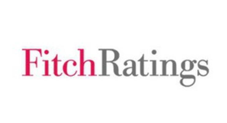 Fitch подтвердило рейтинг крупнейшего производителя курятины в Украине