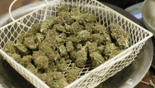 Полиция Сьерра-Леоне обнаружила три тонны марихуаны стоимостью $10 млн