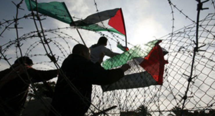 Израиль посадит на границе с сектором Газа эвкалипты, чтобы  боевики не видели целей