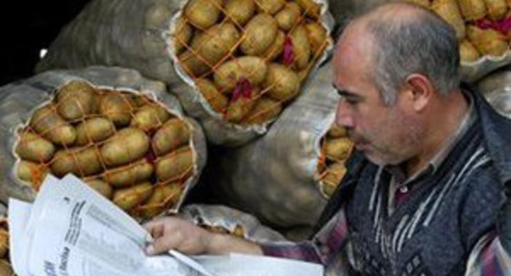 Россия может ввести полный запрет на импорт картофеля из Египта