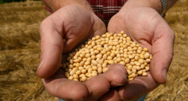 Минагропрод Украины снизил прогноз экспорта зерна в будущем маркетинговом году