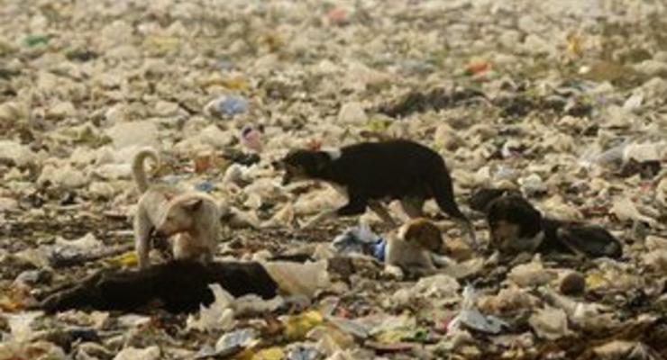 Из Киева намерены вывезти ядовитые отходы