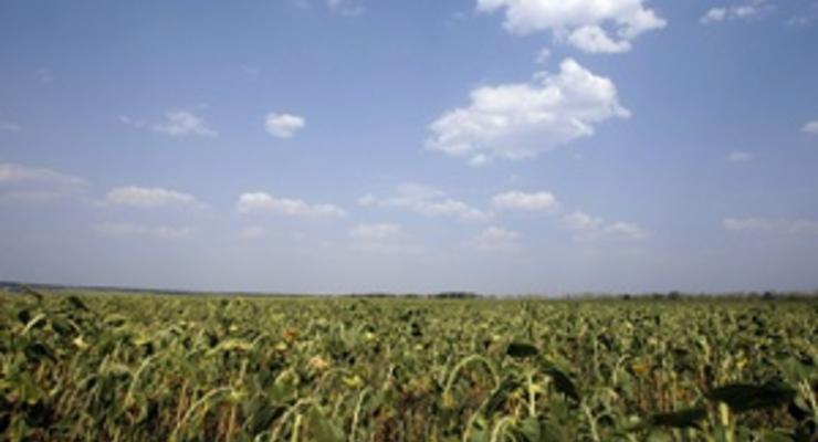 Власти намерены разрешить фермерским хозяйствам покупать землю