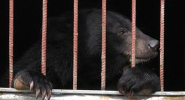 В Винницкой области Госэкоинспекция закрыла незаконный передвижной зоопарк