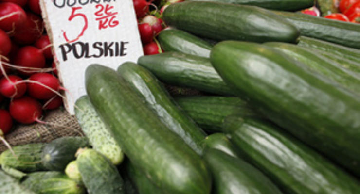 Россия согласилась возобновить ввоз овощей из Европы