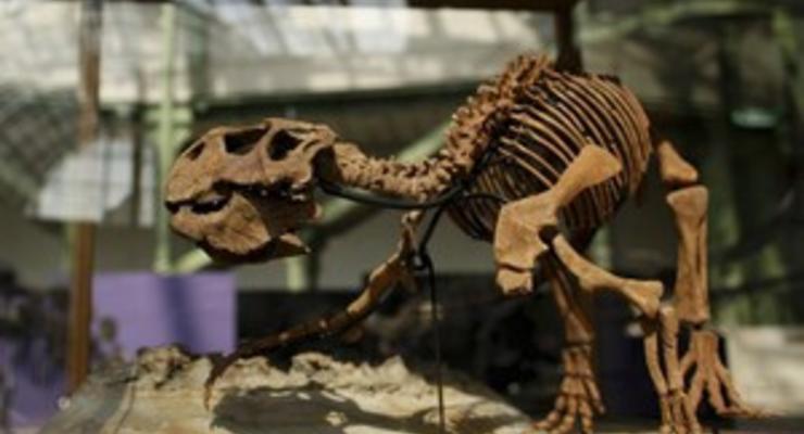 Палеонтологи установили температуру тела динозавров
