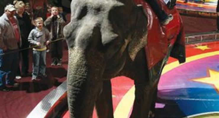 В Великобритании запретили содержать животных в цирках