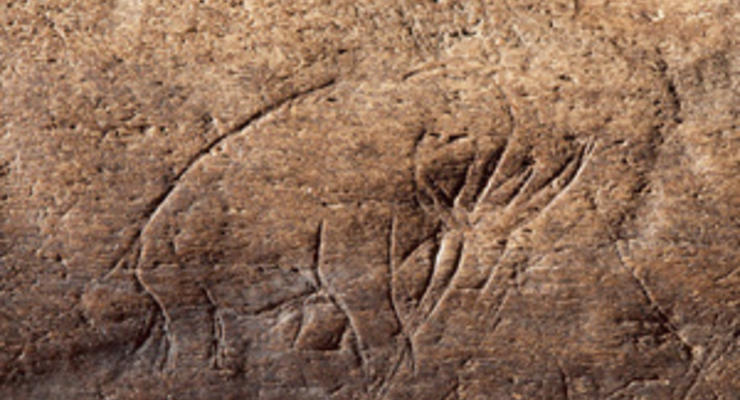 В США найдено произведение искусства возрастом не менее 13 тысяч лет