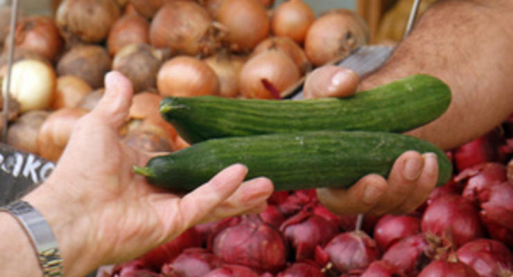 Россия разрешила поставки овощей из Нидерландов и Бельгии