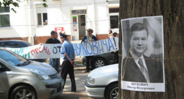Руки прочь от Януковича: В Симферополе портреты Президента использовали для защиты каштанов