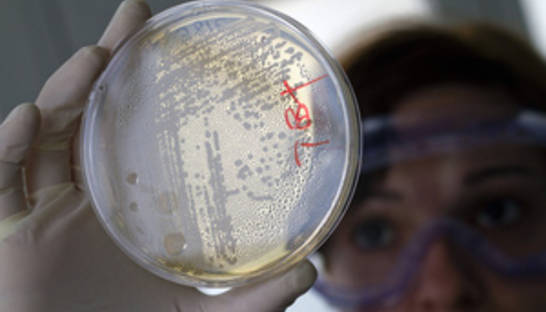 Во Франции зафиксировали первую смерть от кишечной инфекции