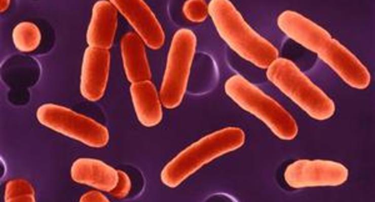 Опасную бактерию E.coli обнаружили в чешских магазинах