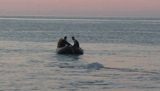 В море возле Ялты спасли мужчину, который уснул на матрасе