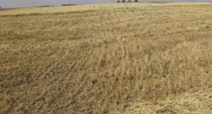Из-за дождей в Украине пострадали 8% посевов зерновых