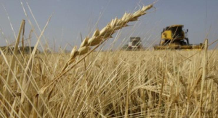 США понизили прогноз экспорта пшеницы из Украины до 7,5 млн тонн