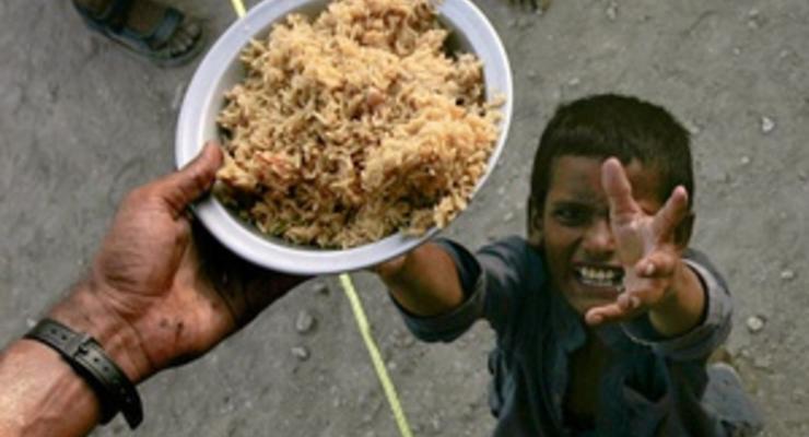 В WWF предложили восемь способов накормить человечество