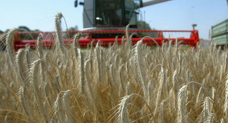 Азаров заявил, что зерна нового урожая хватит Украине на два года