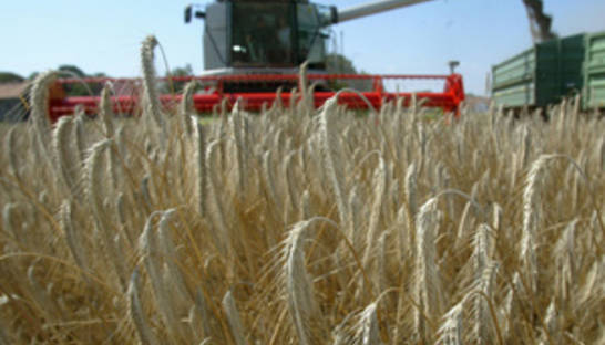 В Украине 500 комбайнов и 300 зерновозов оборудовали GPS-навигаторами