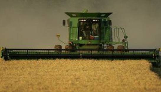 В Украине уже собрано 34 млн тонн зерна нового урожая