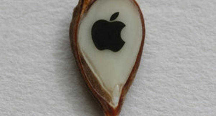 Россиянин специально для Стива Джобса украсил яблочное зернышко логотипом Apple