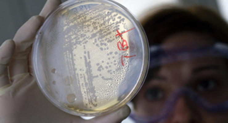 Исследование: кишечные бактерии могут влиять на работу мозга