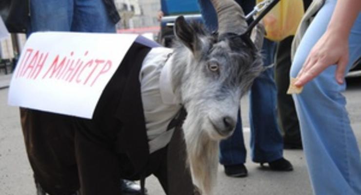 Акция против Табачника: под Администрацию Президента привели живого козла