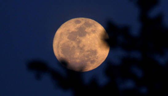 Американская сеть пиццерий откроет ресторан на Луне