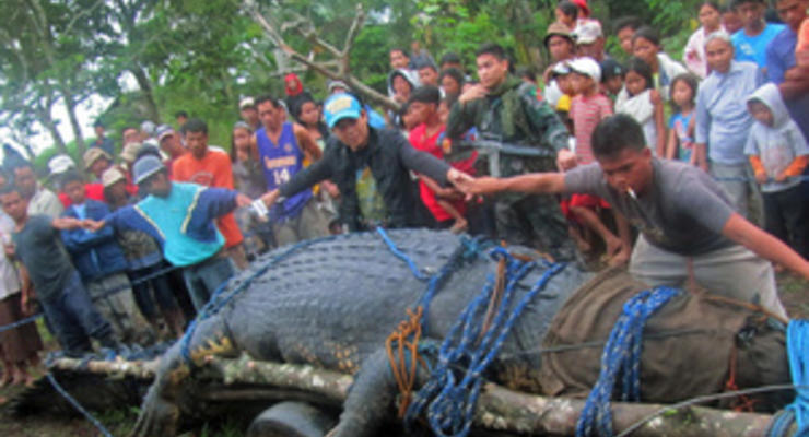 На Филиппинах поймали гигантского крокодила весом более тонны