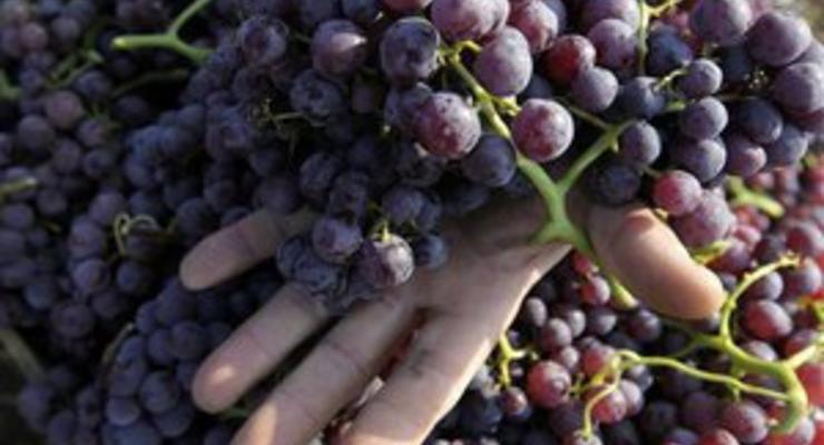 Виноград может понижать кровяное давление