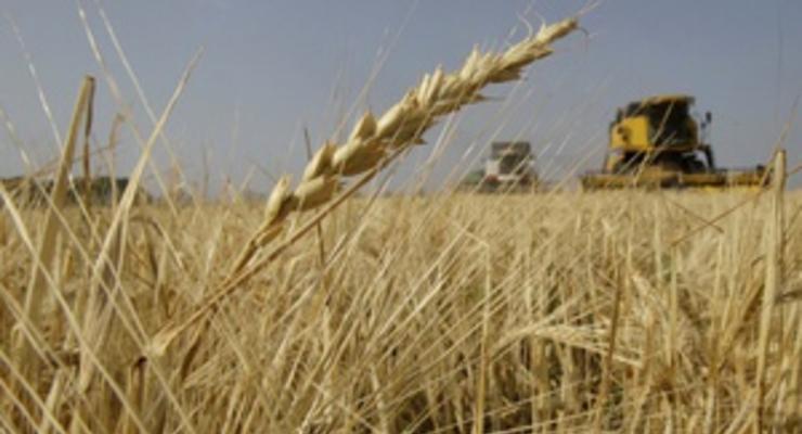 В Кабмине рассказали о качестве собранной в этом году пшеницы