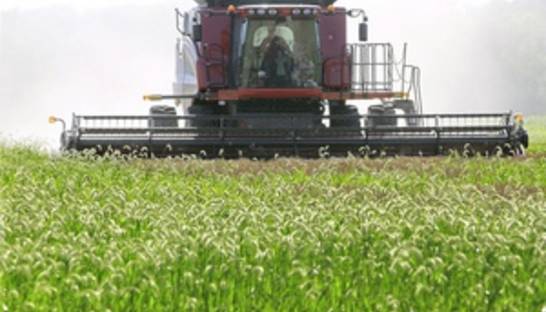 В ожидании одного из крупнейших за 20 лет урожая Украина показывает низкие темпы экспорта зерна