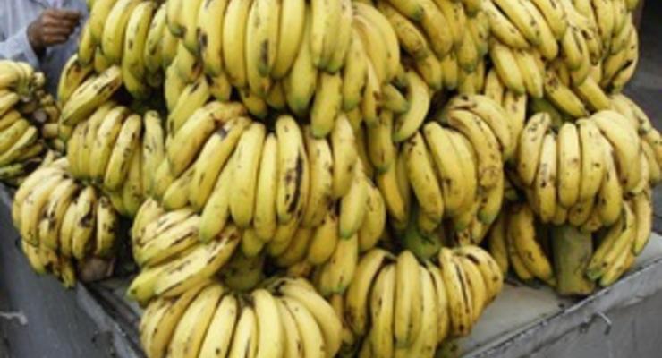 В Одесской области СБУ пресекла контрабанду более тысячи тонн бананов