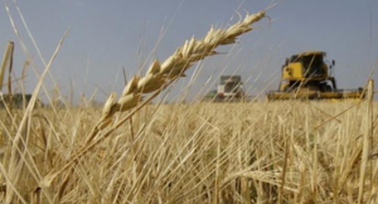 Минэкономики предложило продлить пошлины на экспорт зерна до 2013 года
