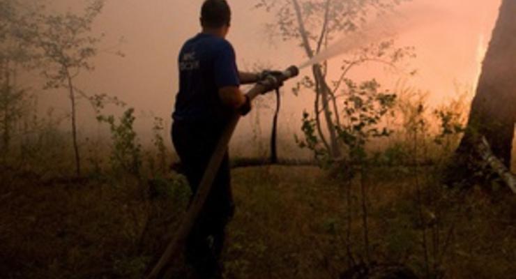 У Кримському природному заповіднику загорівся ліс