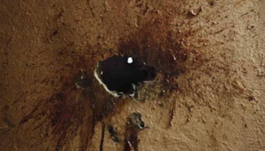 В Купертино работник каменоломен открыл стрельбу на собрании сотрудников. Двое убиты