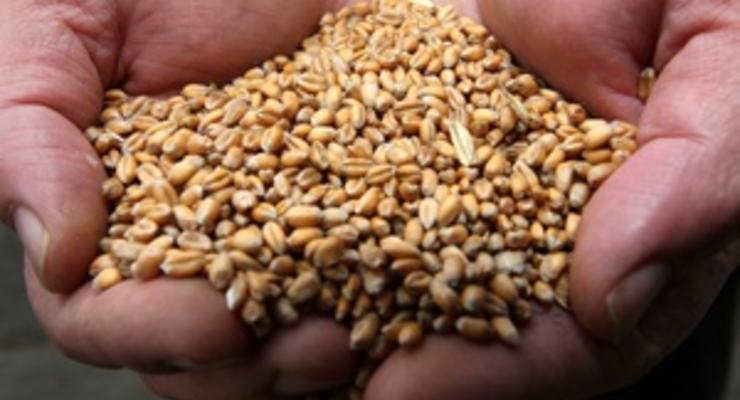 Падение объемов экспорта украинского зерна за три месяца составило 17%