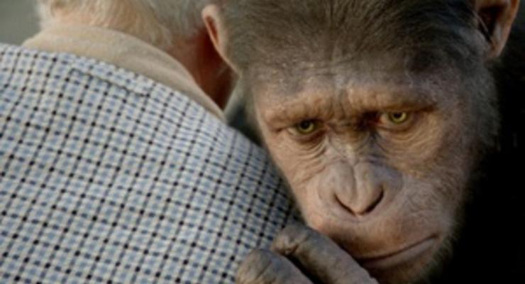 В Японии приматам показали фильм Восстание планеты обезьян