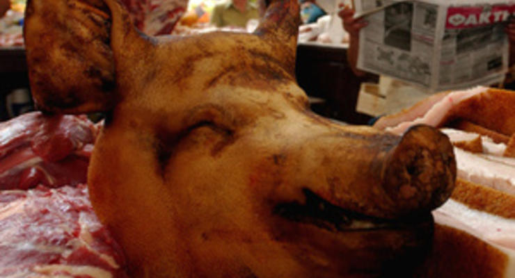 Вегетарианцы сорвали Праздник свиньи в Миргороде