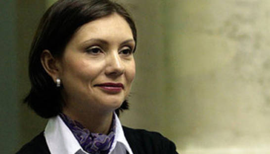 Депутат от ПР: Декриминализация не означает амнистию