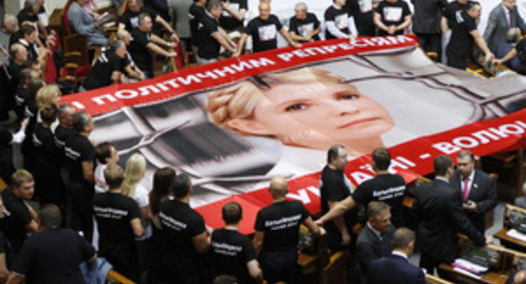 Лидеры фракций не могут найти общий язык по поводу декриминализации статьи приговора Тимошенко