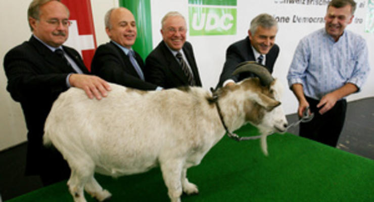В Швейцарии у крайне правой партии украли козла-талисмана