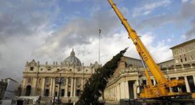 Украина обеспечит Ватикан рождественскими елками