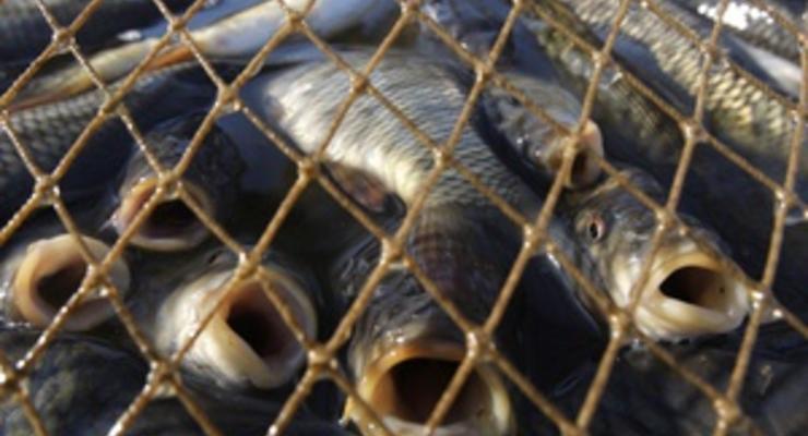 В Луганской области борцы с браконьерами передали детской больнице 105 кг рыбы