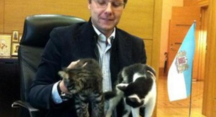 Мэр Риги выбрал двух официальных котов города