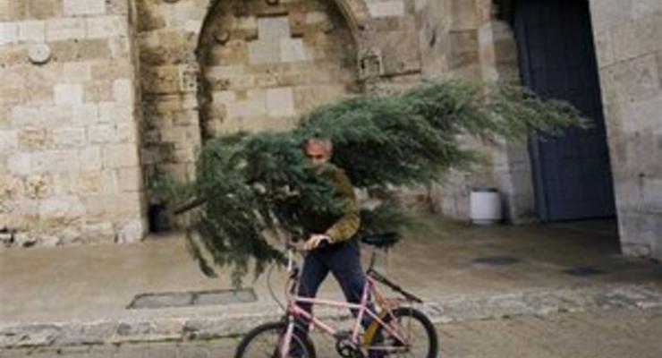 В Одессе можно взять новогоднюю елку напрокат