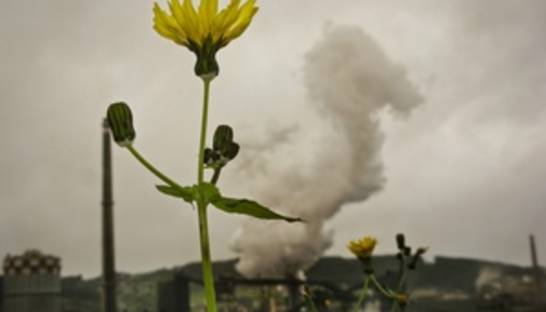 Срок действия Киотского протокола продлен на пять лет