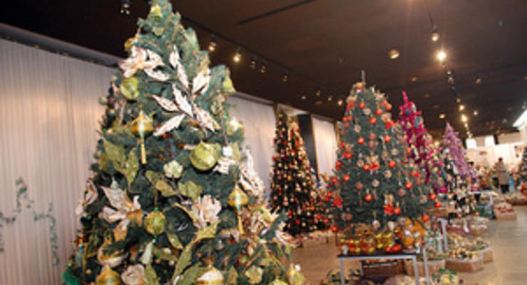 В Одессе перед Новым годом запретят продавать елки без электронного чипа