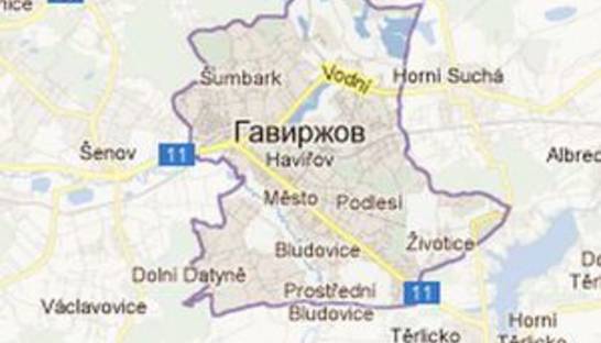 В чешском лагере для беженцев украинец откусил тибетцу ухо