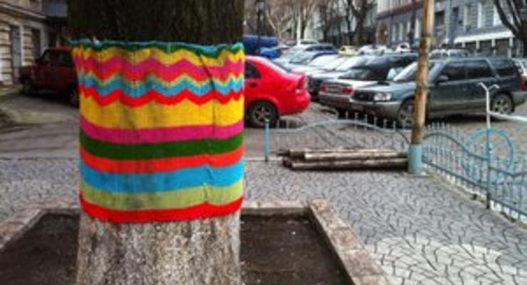В центре Одессы деревья укутали в "шерстяные шарфы"